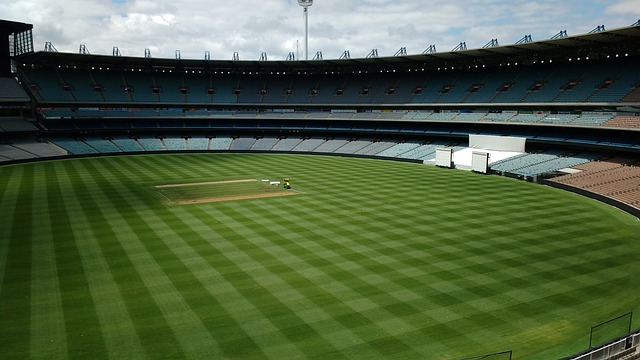 预约增加的 预约增加的