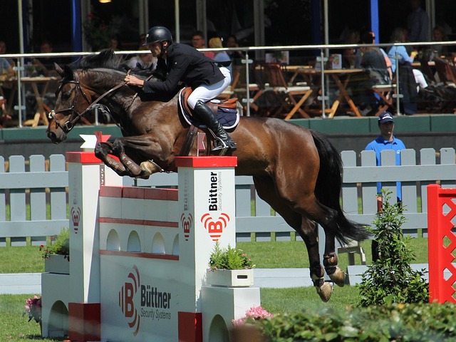 不仅仅是一 不仅仅是一