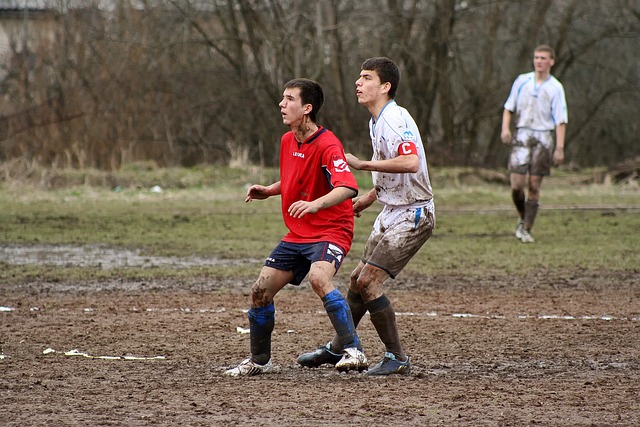 巡演中的 巡演中的