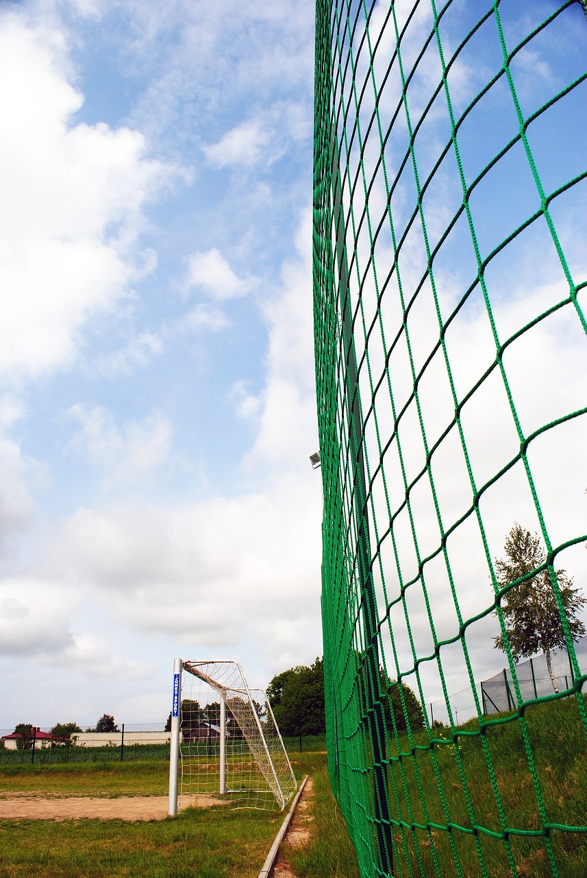 副其实的 副其实的