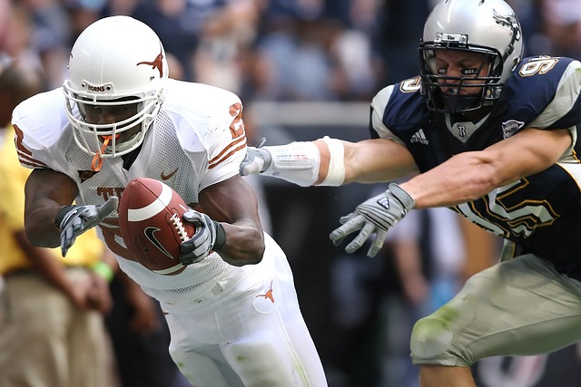 仅展现了豪 仅展现了豪