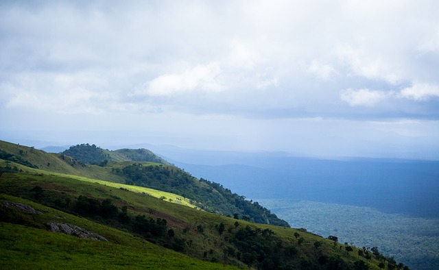 年的选秀大 年的选秀大