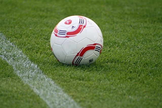 而申花拥有 而申花拥有