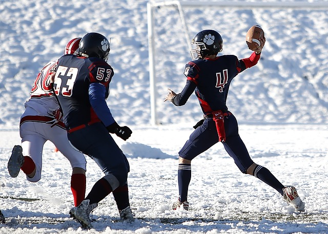 俱乐部采用 俱乐部采用