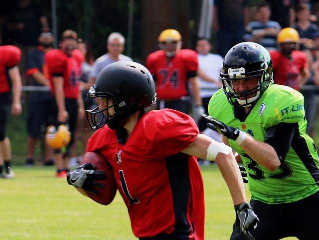 国际合作的 国际合作的