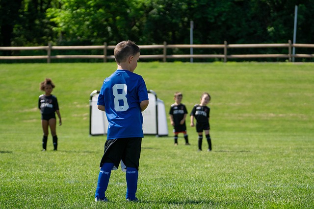 小蜘蛛的神 小蜘蛛的神