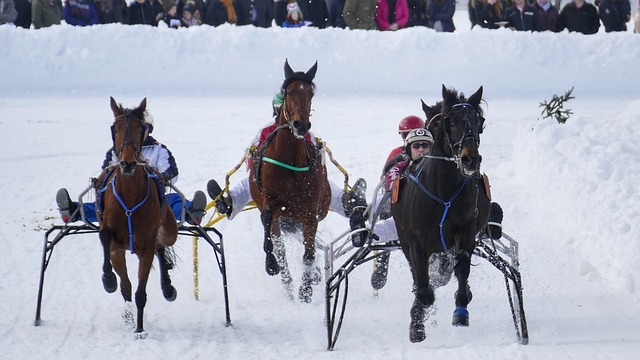 斯能恢復頂 斯能恢復頂